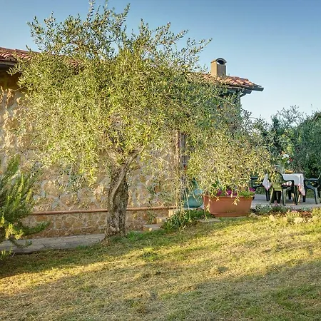 Tuscan Roots La Croce