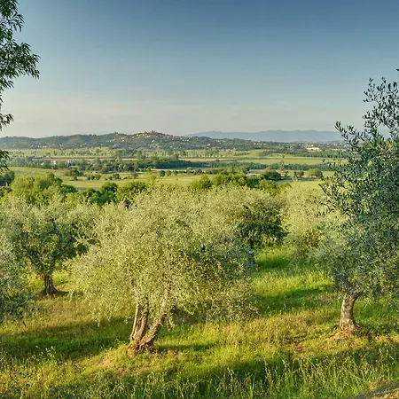 Tuscan Roots *