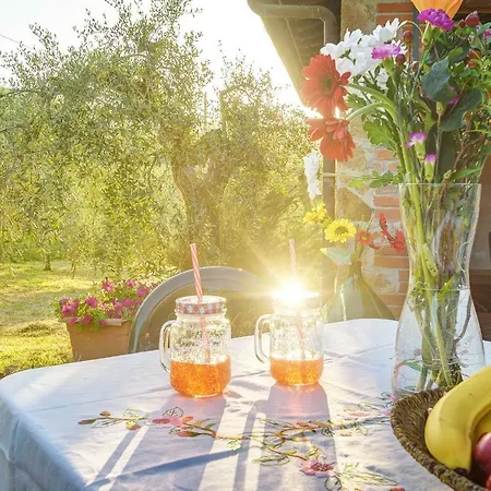 Tuscan Roots *