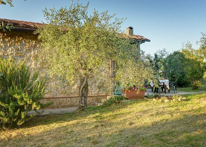 Tuscan Roots La Croce